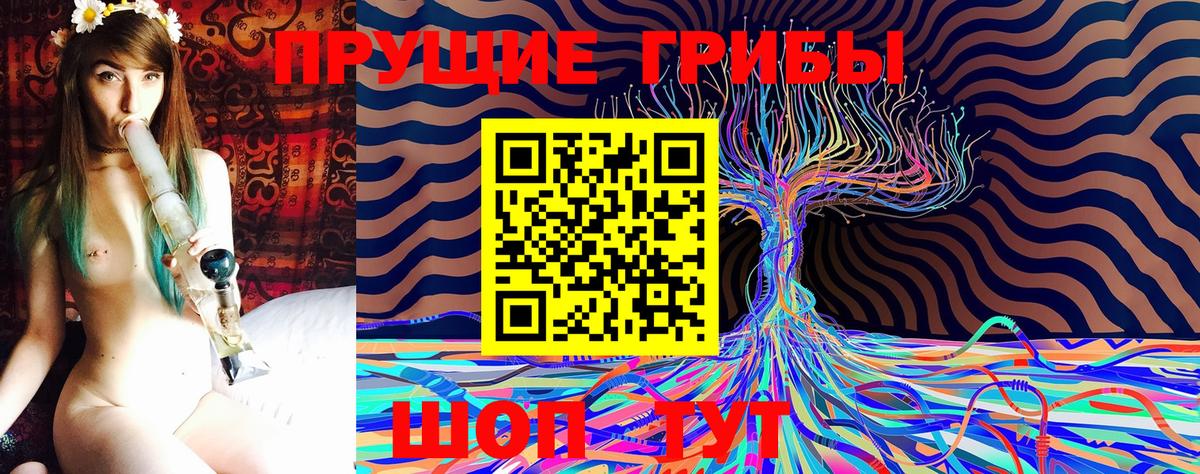 Галлюциногенные грибы прущие грибы Калач-на-Дону